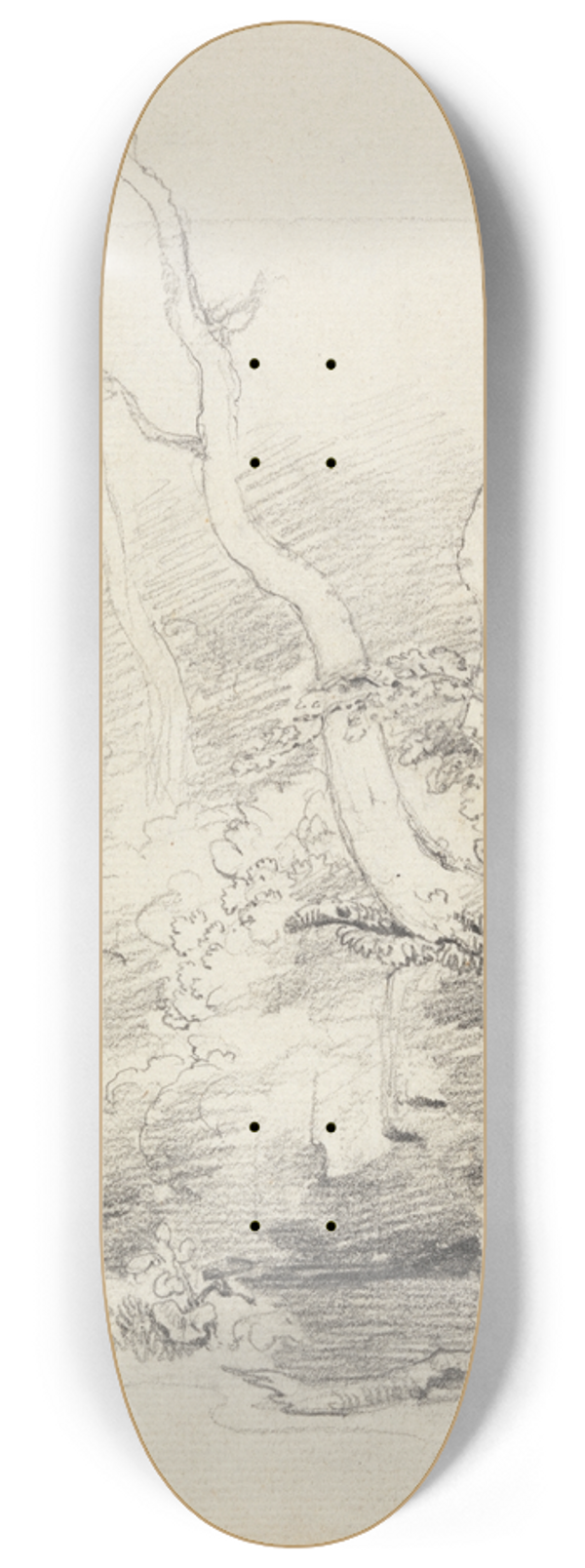 Cornelius Varley - Tree Study 8.25 inch art skate deck