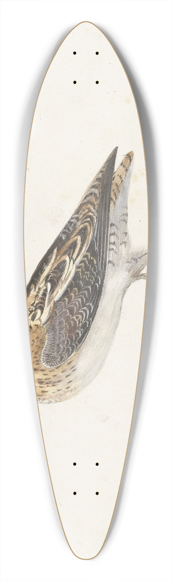 Pieter Withoos - Watersnip 39.3 inch art pintail longboard deck