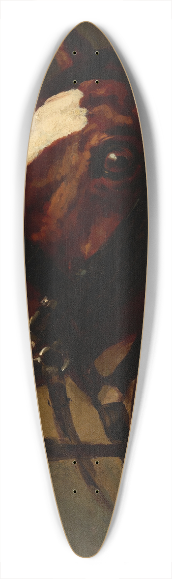 Piotr Michaowski - Bay Horses Head 39.3 inch art pintail longboard deck