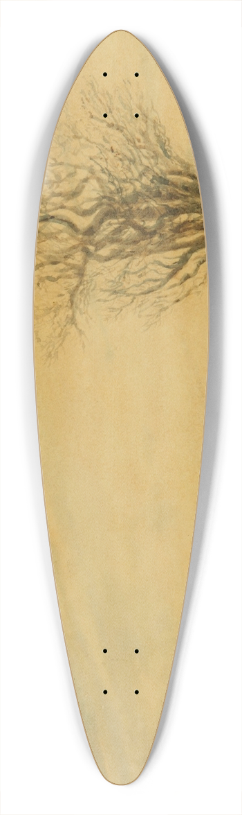 Prilidiano Pueyrredn - La lavandera 39.3 inch art pintail longboard deck