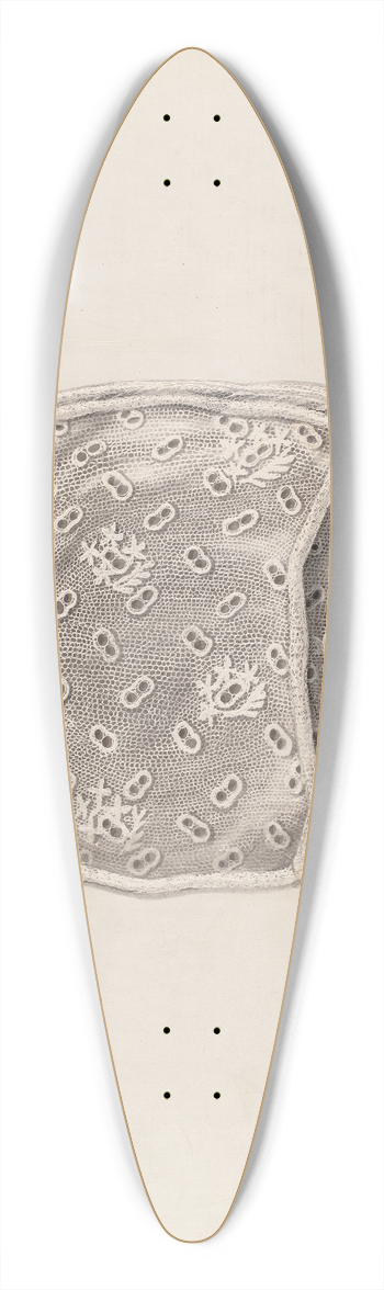 Raymond Guterl - Childs Cap 39.3 inch art pintail longboard deck