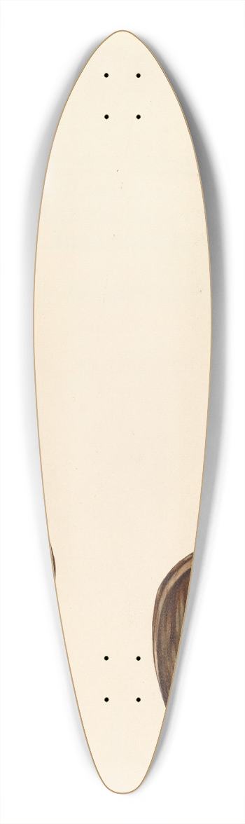 Roberta Elvis - Bishop Hill  Wooden Spoon 39.3 inch art pintail longboard deck