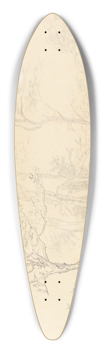 Robert Hills - Study of a Holly Tree 39.3 inch art pintail longboard deck