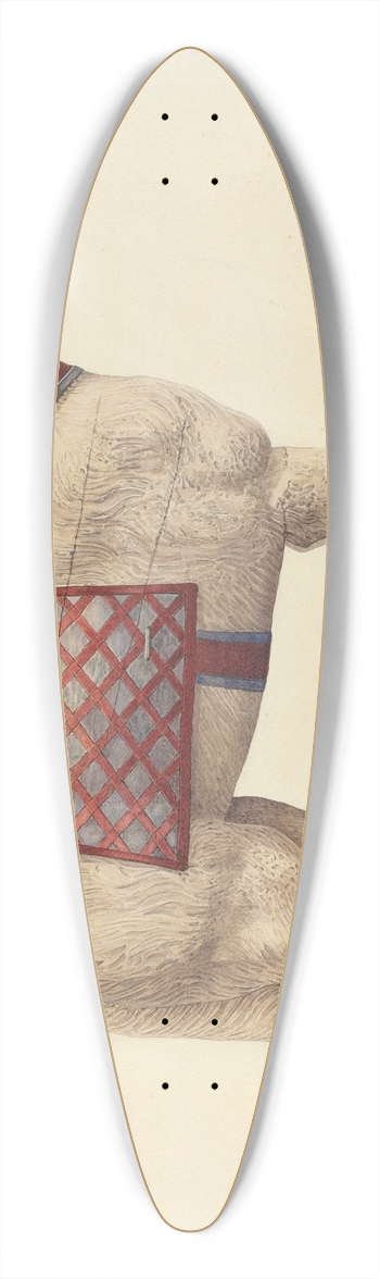 Robert Pohle - Carousel Dog 39.3 inch art pintail longboard deck