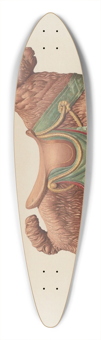 Robert Pohle - Carousel Rabbit 39.3 inch art pintail longboard deck