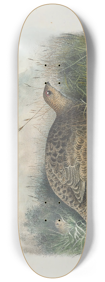 Daniel Giraud Elliot - Kunalee Grouse 8.25 inch art skate deck