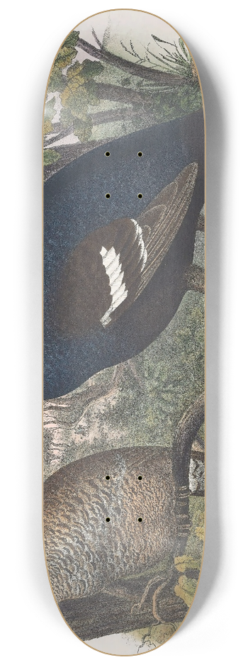 Daniel Giraud Elliot - The Black Grouse 8.25 inch art skate deck