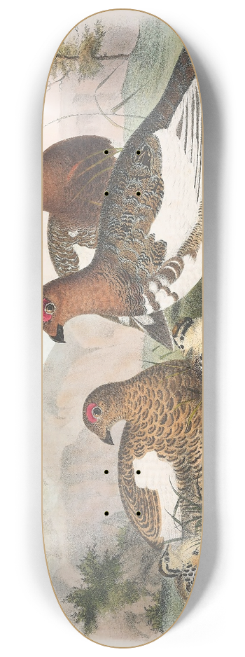 Daniel Giraud Elliot - The Willow Grouse 8.25 inch art skate deck