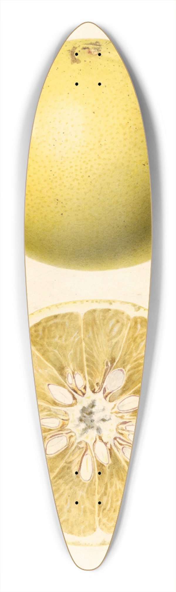 Royal Charles Steadman - Citrus paradisi 39.3 inch art pintail longboard deck