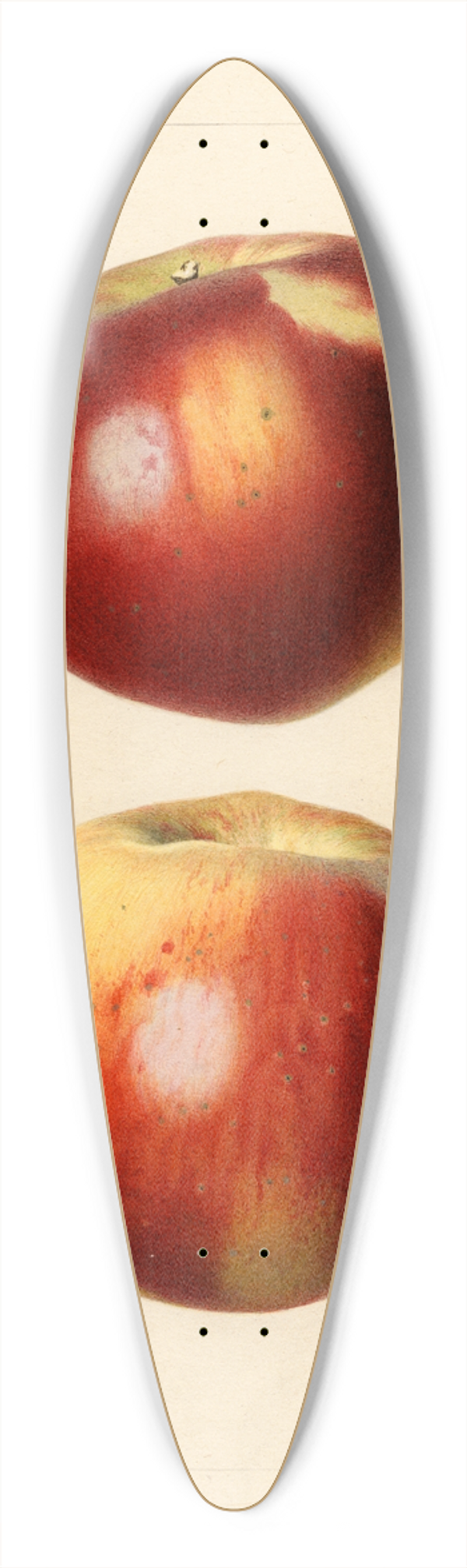 Royal Charles Steadman - Malus domestica: Nero 39.3 inch art pintail longboard deck