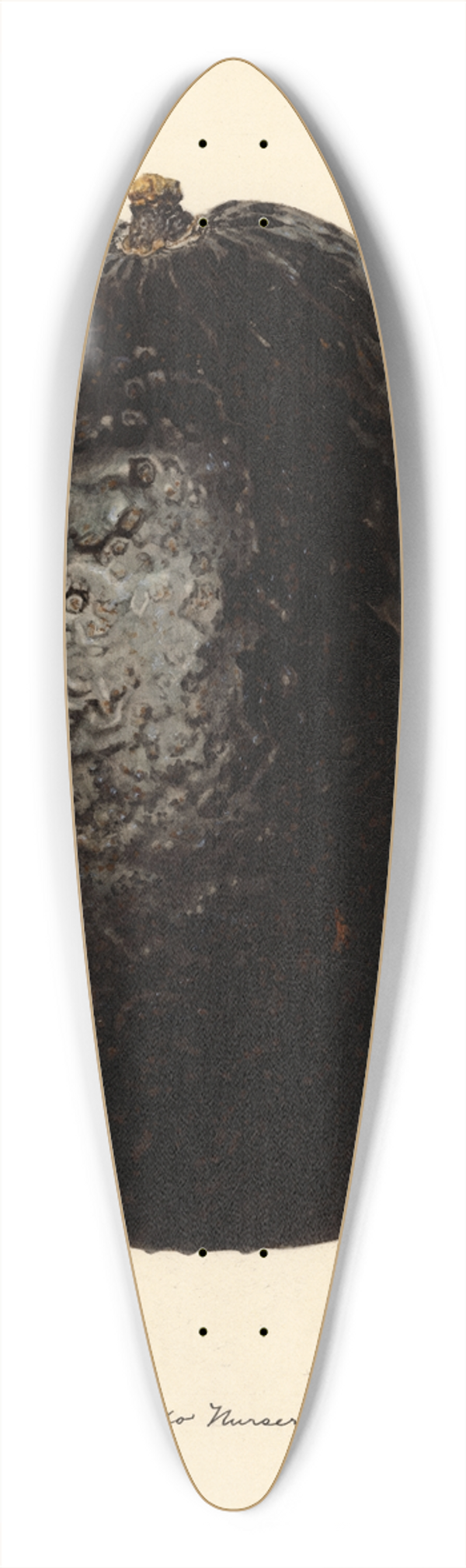 Royal Charles Steadman - Persea: Linda 39.3 inch art pintail longboard deck