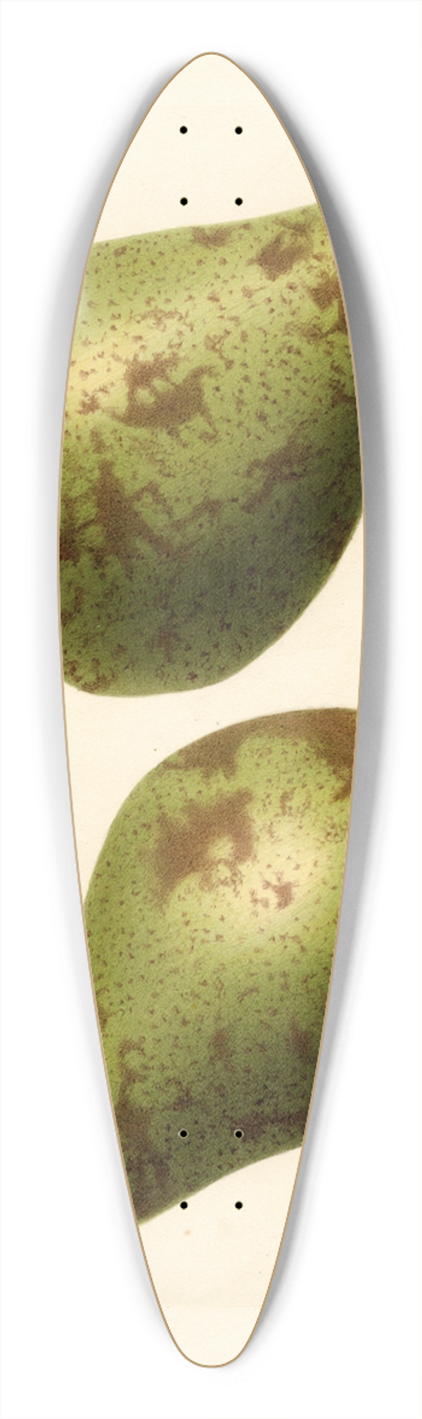Royal Charles Steadman - Pyrus communis: P 39.3 inch art pintail longboard deck
