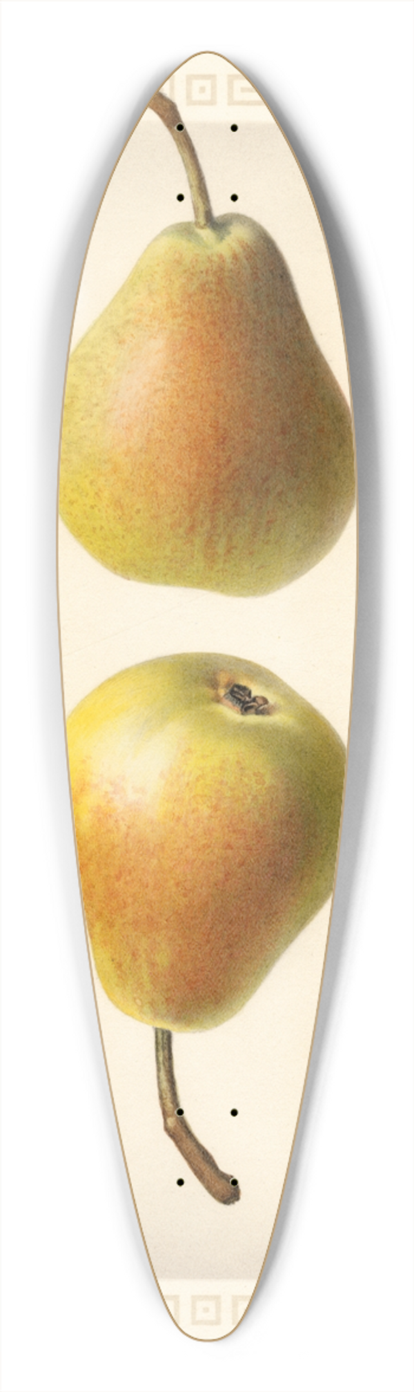 Royal Charles Steadman - Pyrus communis: Worden Seckel 39.3 inch art pintail longboard deck