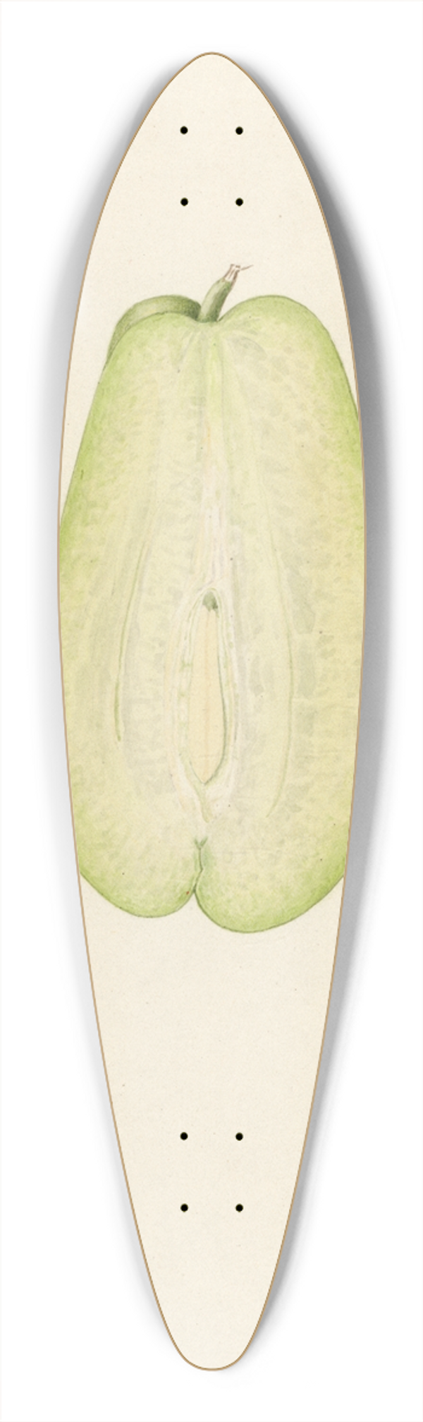 Royal Charles Steadman - Sechium edule 39.3 inch art pintail longboard deck
