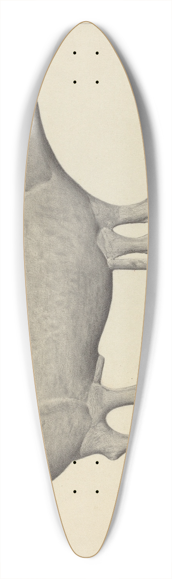 Salvatore Borrazzo - Pig Weather Vane 39.3 inch art pintail longboard deck