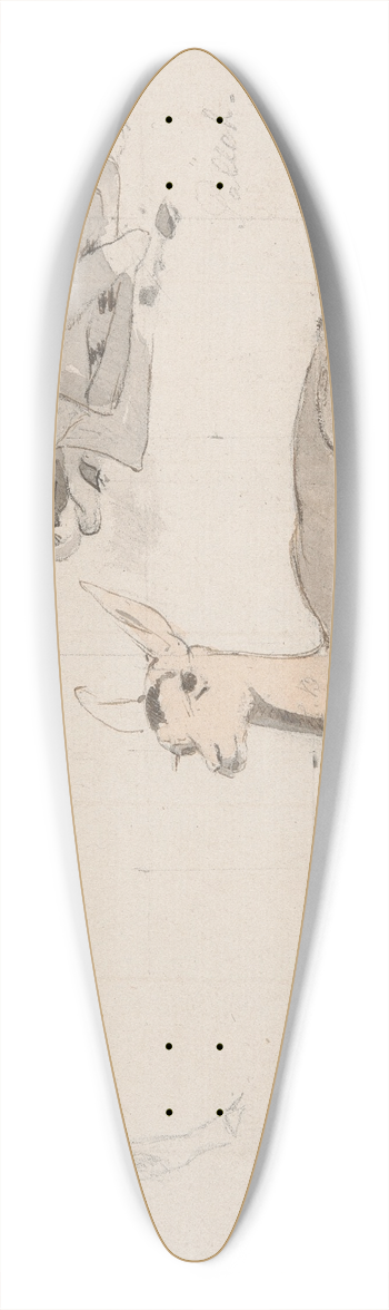 Samuel Daniell - Studies of Young Pallah Deer Resting 39.3 inch art pintail longboard deck