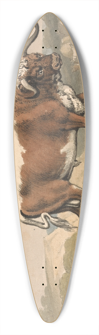 Samuel Howitt - A Bull and a Rabbit 39.3 inch art pintail longboard deck