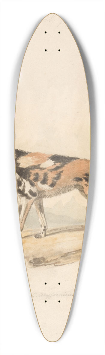 Samuel Howitt - Abyssinian Dog 39.3 inch art pintail longboard deck