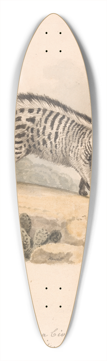 Samuel Howitt - African Civet 39.3 inch art pintail longboard deck