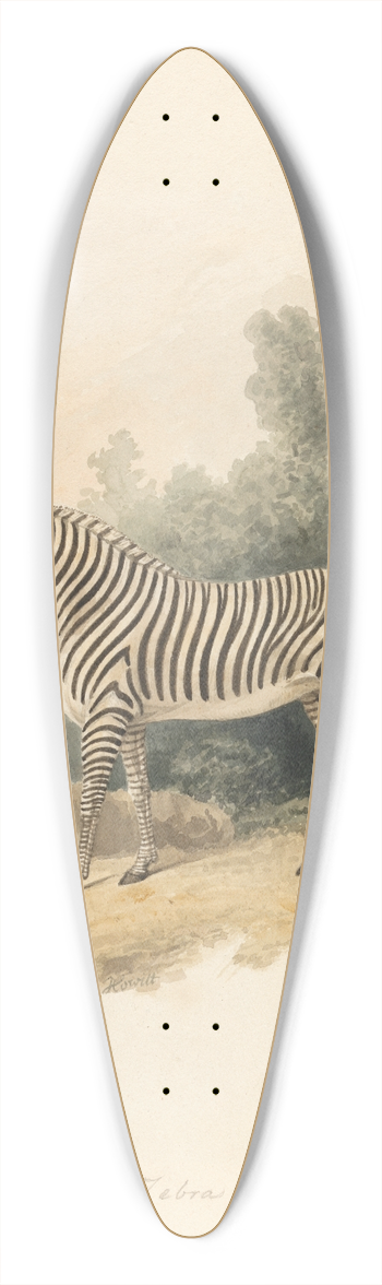 Samuel Howitt - A Zebra 39.3 inch art pintail longboard deck