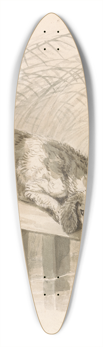 Samuel Howitt - The Dog and The Shadow 39.3 inch art pintail longboard deck