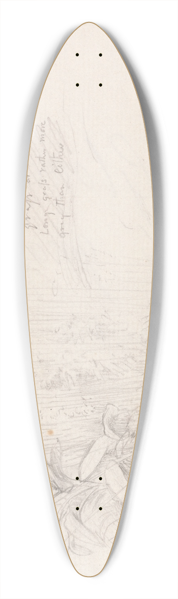 Samuel Palmer - Foxgloves 39.3 inch art pintail longboard deck