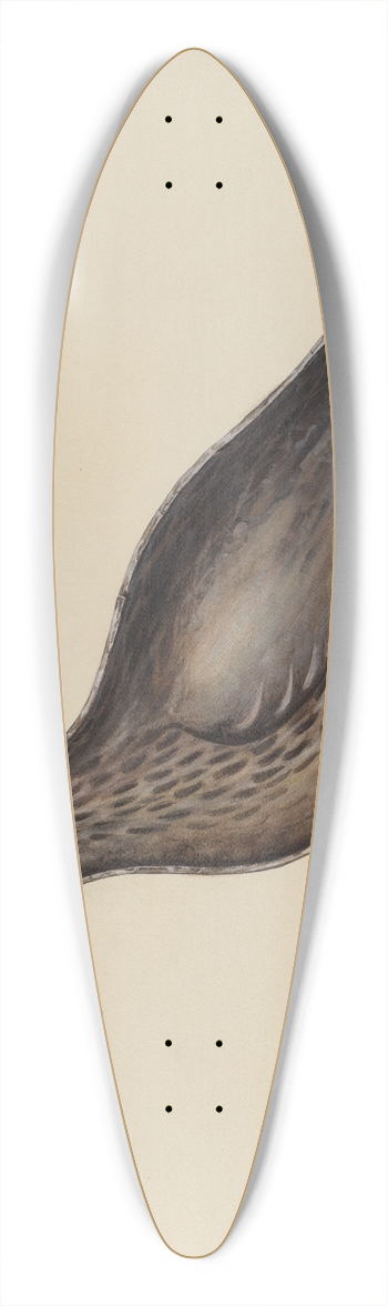 Samuel W. Ford - Greater Yellow Leg Decoy 39.3 inch art pintail longboard deck