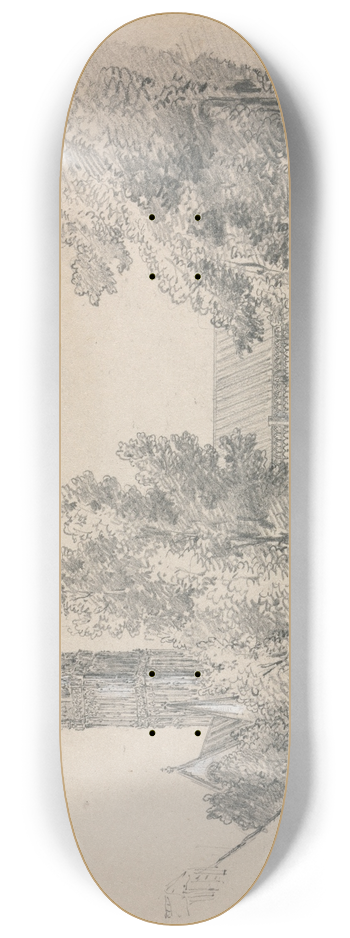 David Charles Read - A View of Salisbury Cathedral 8.25 inch art skate deck