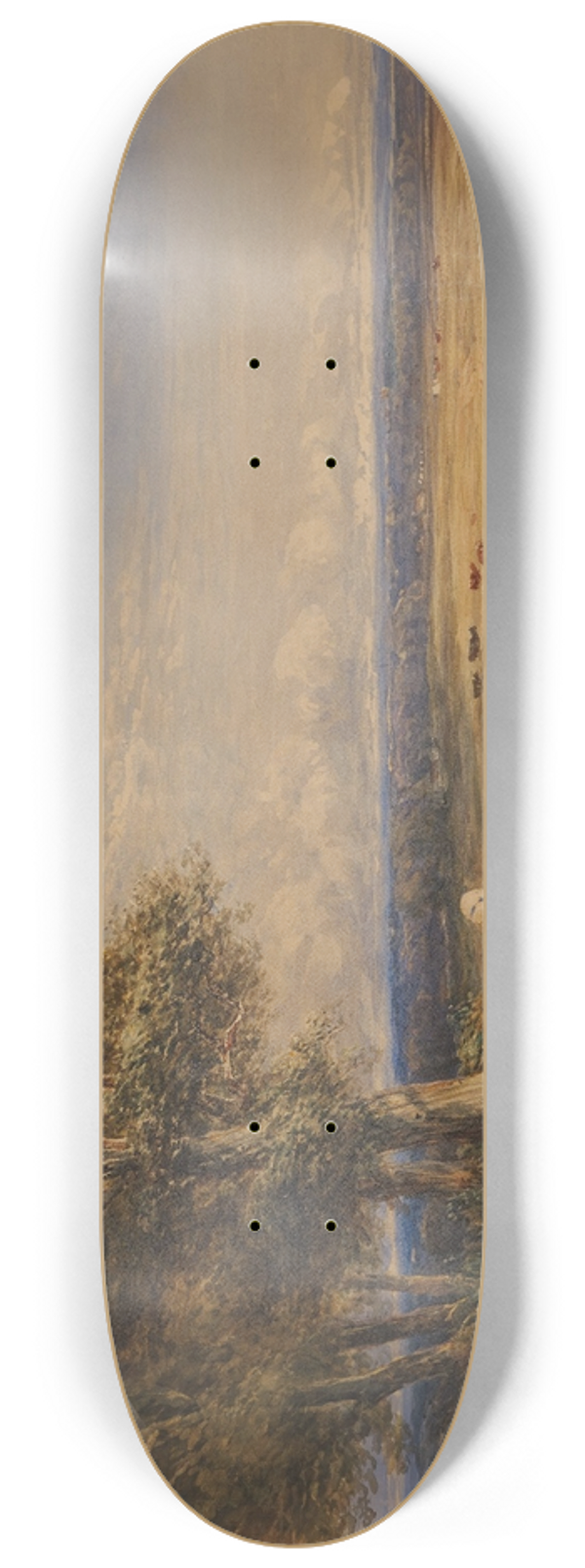 David Cox - The Skylark 8.25 inch art skate deck