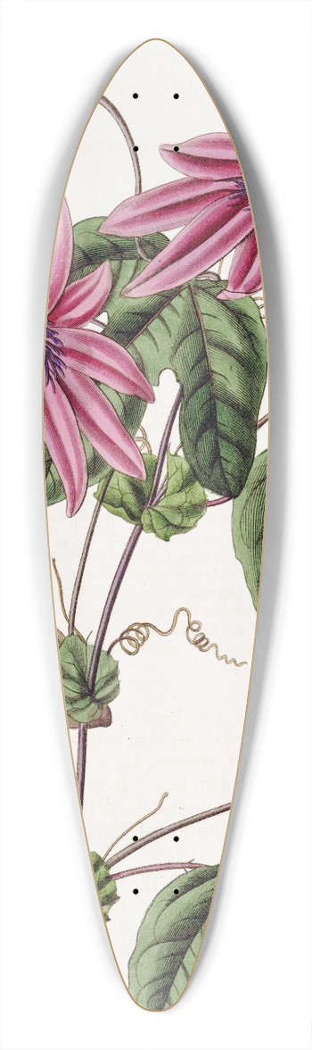 Sydenham Edwards - Crimson Passionflower 39.3 inch art pintail longboard deck