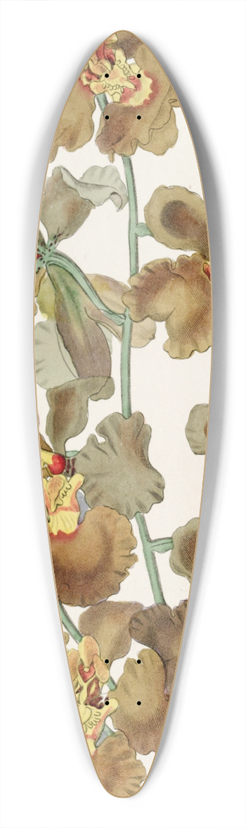 Sydenham Edwards - Curled-flowered Oncidium 39.3 inch art pintail longboard deck
