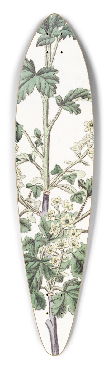 Sydenham Edwards - Dotted Currant. 39.3 inch art pintail longboard deck