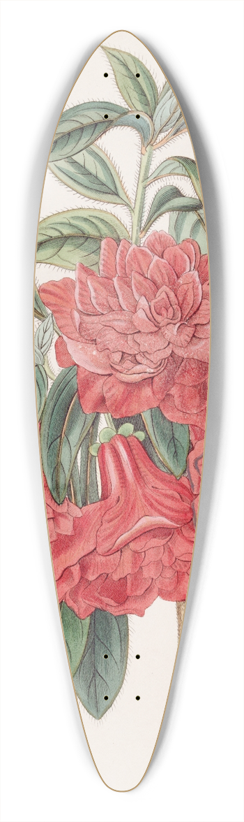 Sydenham Edwards - Double Red Azalea India 39.3 inch art pintail longboard deck