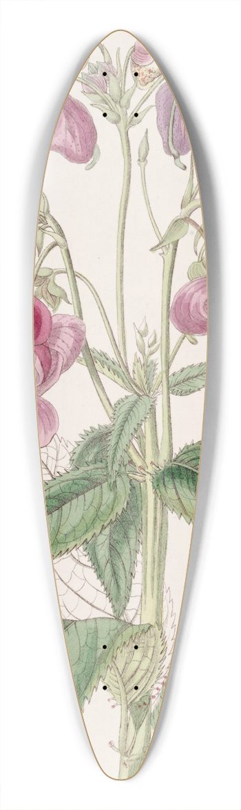 Sydenham Edwards - Glandular Balsam 39.3 inch art pintail longboard deck