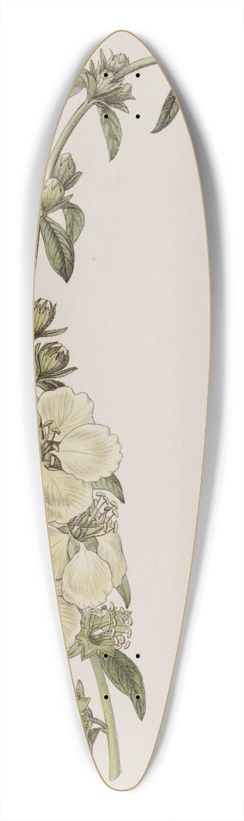Sydenham Edwards - Large-flowered Heimia 39.3 inch art pintail longboard deck