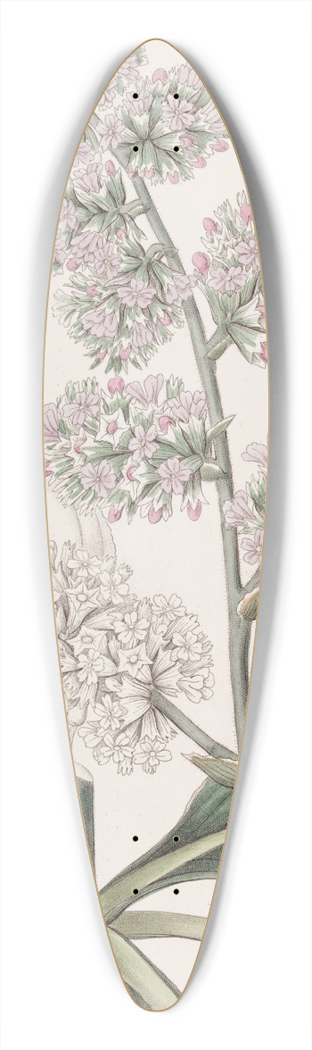 Sydenham Edwards - Large Pink Sea Lavender 39.3 inch art pintail longboard deck