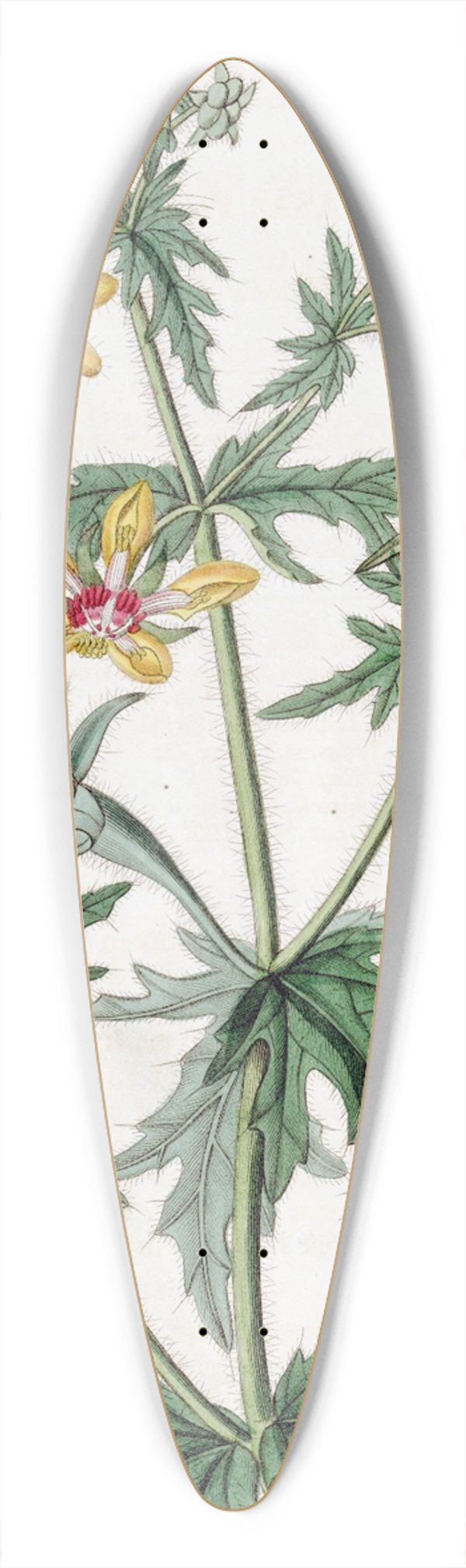 Sydenham Edwards - Mr. Places Loasa 39.3 inch art pintail longboard deck