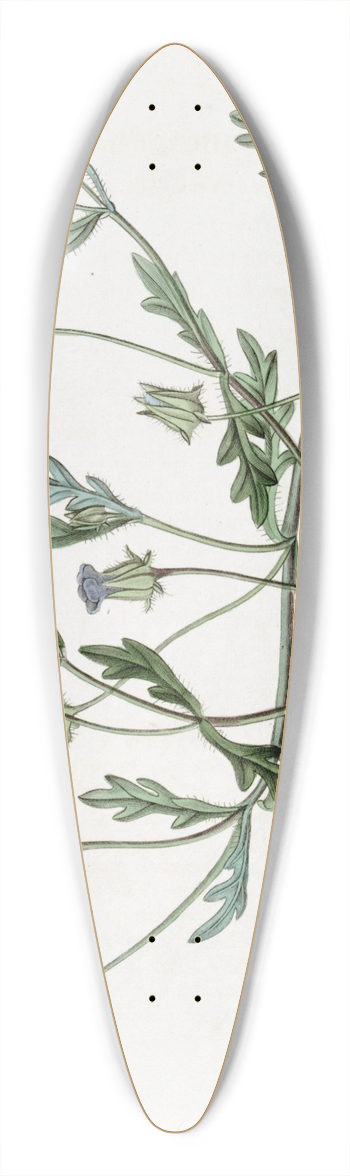 Sydenham Edwards - Shewy Nemophila 39.3 inch art pintail longboard deck