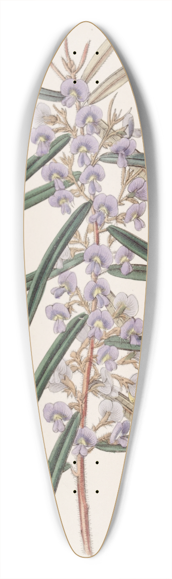 Sydenham Edwards - Spikeletted Hovea 39.3 inch art pintail longboard deck