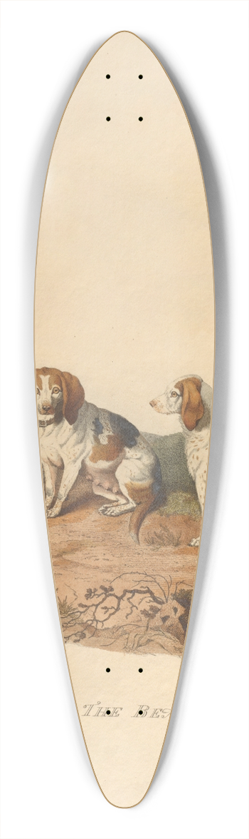 Sydenham Edwards - The Beagle 39.3 inch art pintail longboard deck