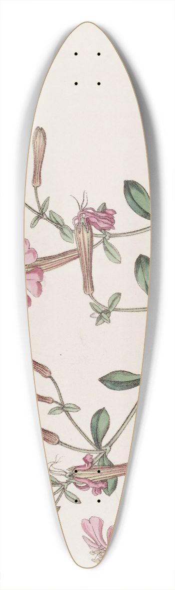 Sydenham Edwards - The Schafta 39.3 inch art pintail longboard deck