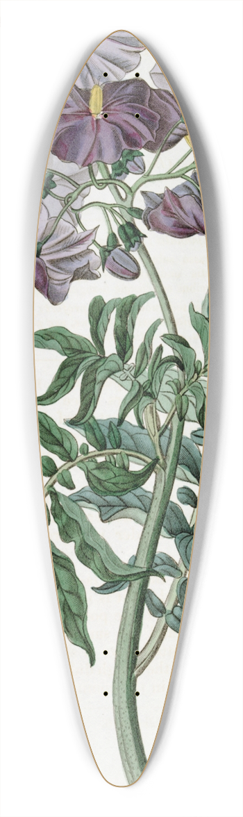 Sydenham Edwards - Tuberless Solanum 39.3 inch art pintail longboard deck