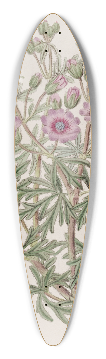 Sydenham Edwards - Tuberous Geranium, branched variety 39.3 inch art pintail longboard deck
