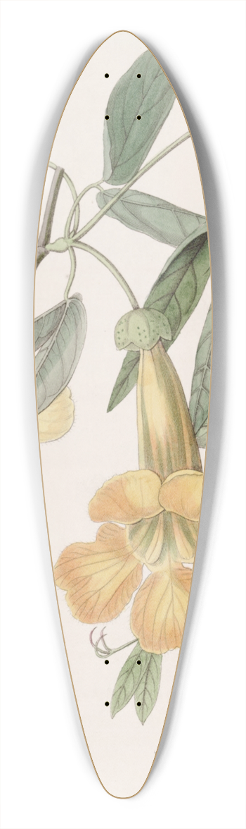 Sydenham Edwards - Tweedies Bignonia 39.3 inch art pintail longboard deck