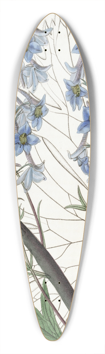Sydenham Edwards - Variable Larkspur 39.3 inch art pintail longboard deck
