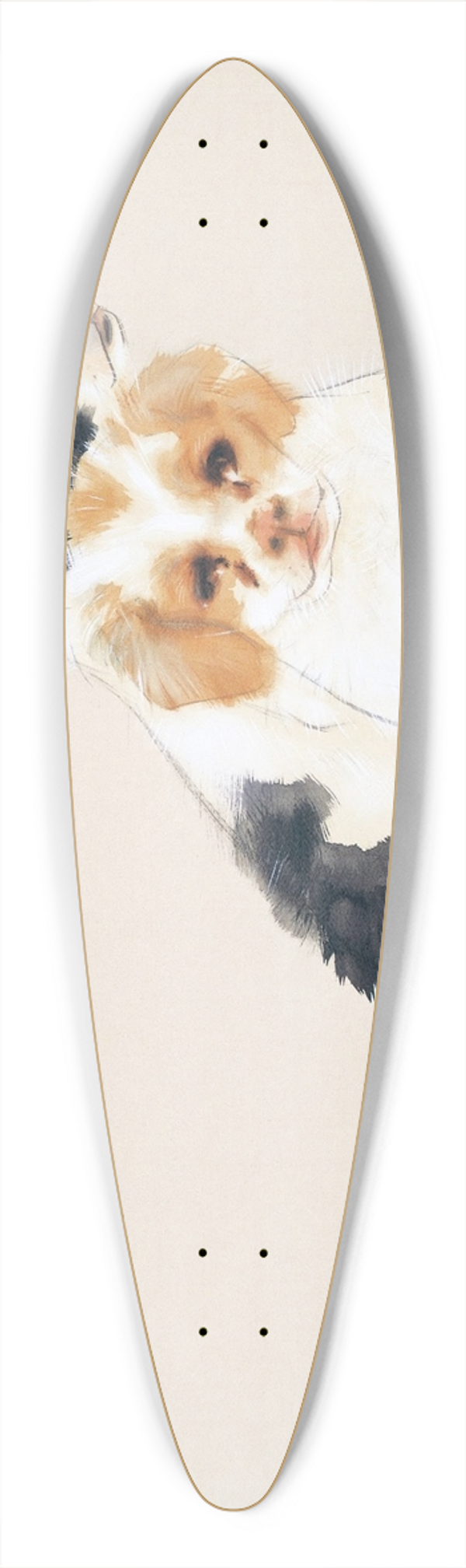 Takeuchi Seih - Fireside 39.3 inch art pintail longboard deck