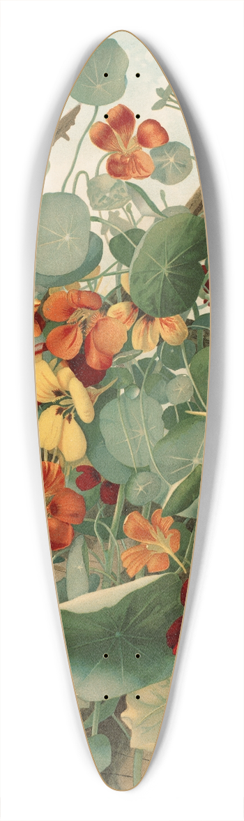 Thaddeus Welch - The Nasturtiums, No. 2 39.3 inch art pintail longboard deck