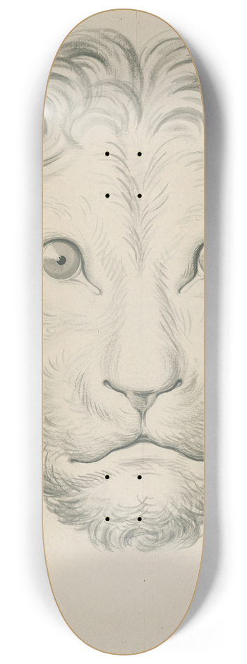 David Humbert de Superville - Lions head 8.25 inch art skate deck