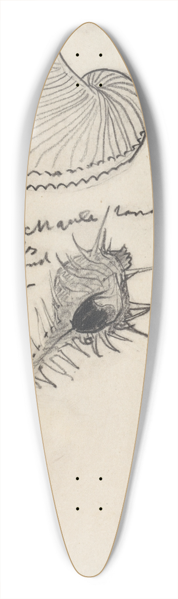 Theo Nieuwenhuis - Studieblad met drie schelpen 39.3 inch art pintail longboard deck