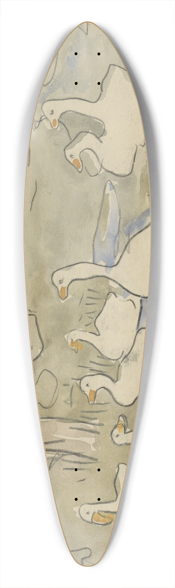 Theo van Hoytema - Ducks 39.3 inch art pintail longboard deck